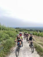 Escursione E-Bike nelle Vigne del Gattinara con Degustazione<br>20 Giugno