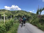 Escursione E-Bike nelle Vigne del Gattinara con Degustazione<br>20 Giugno