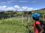 Escursione E-Bike nelle Vigne del Gattinara con Degustazione<br>20 Giugno